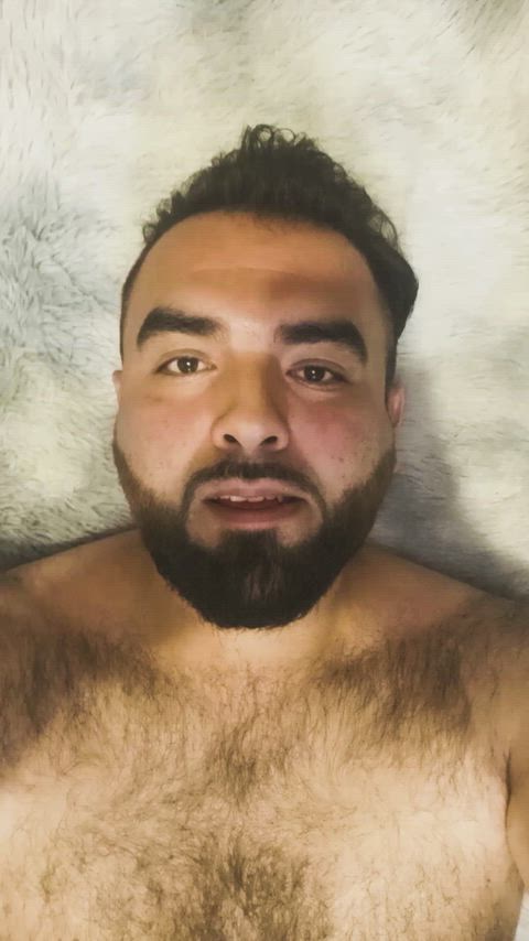 bear beard cute gay hairy hairy chest hairy cock onlyfans sex solo clip