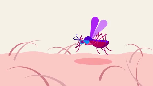 y2mate.com - genetic engineering and diseases gene drive malaria TnzcwTyr6cE 1080p