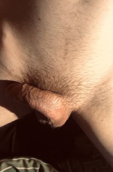 cock erection penis solo tease trimmed twink gay real-cock twinks clip