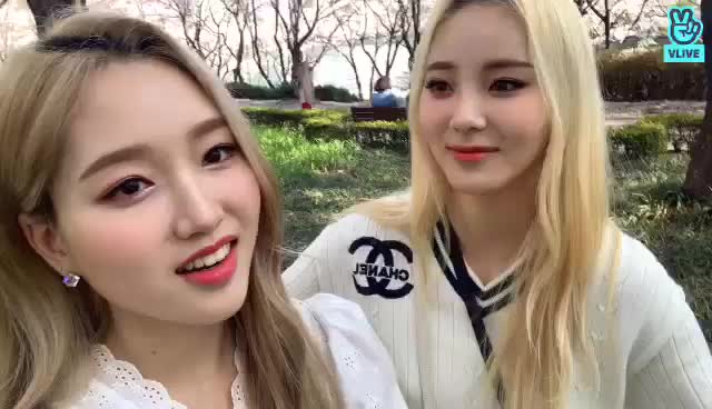 V LIVE - [이달의 소녀] 엉망징창사생대회 1등 꽃놀이 41