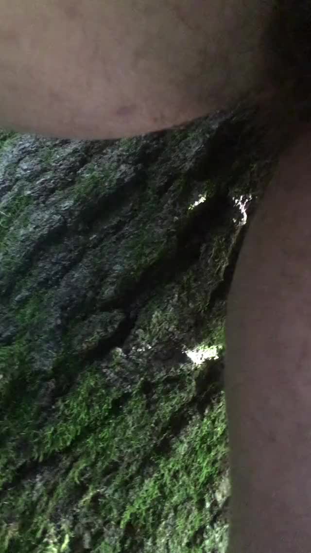 Pee on a tree