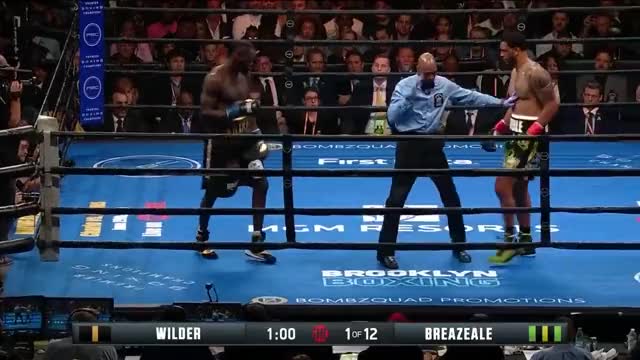Deontay Wilder Vicious First Round Knock Out vs. Dominic Breazeale
