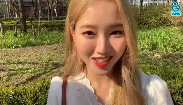 V LIVE - [이달의 소녀] 엉망징창사생대회 1등 꽃놀이 21