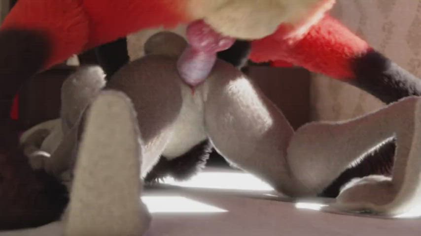 Animation Bunny Doggystyle Sex clip