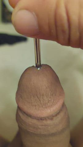Kinky Male Masturbation Solo Toys Porn GIF by itsmeletshavefun