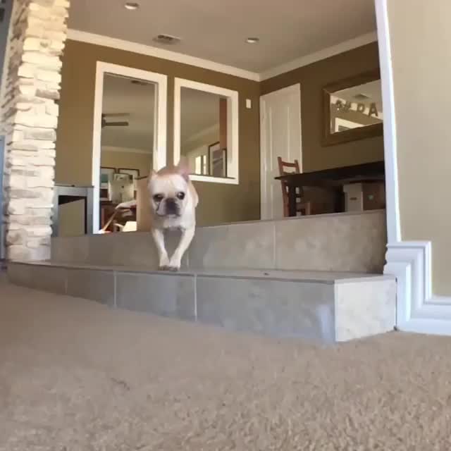  clip
