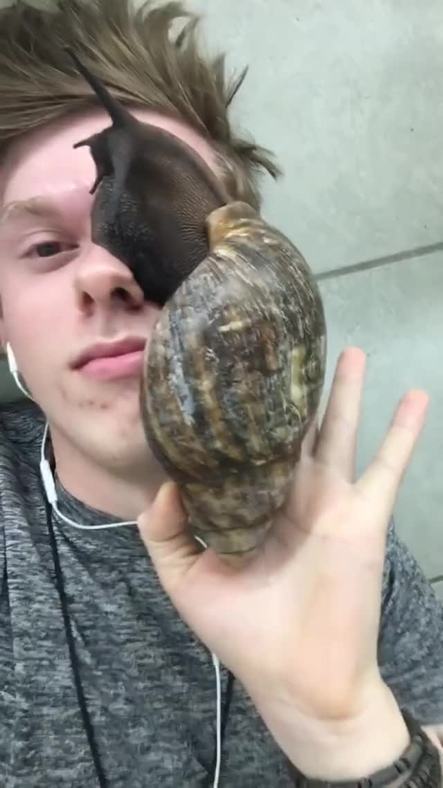 Biggest Snail in the world on Adrians Face !