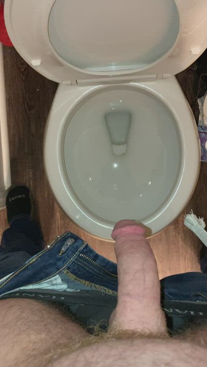 Pissing in the toilet [M]
