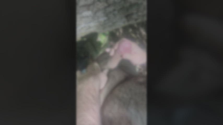 amateur big dick cumshot hairy chest jerk off outdoor solo clip