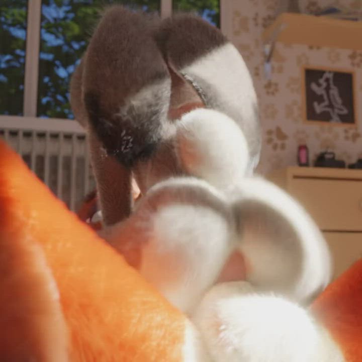 Anal Animation Bunny Deep Penetration Riding clip