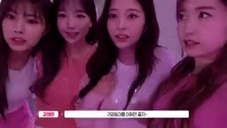  clip