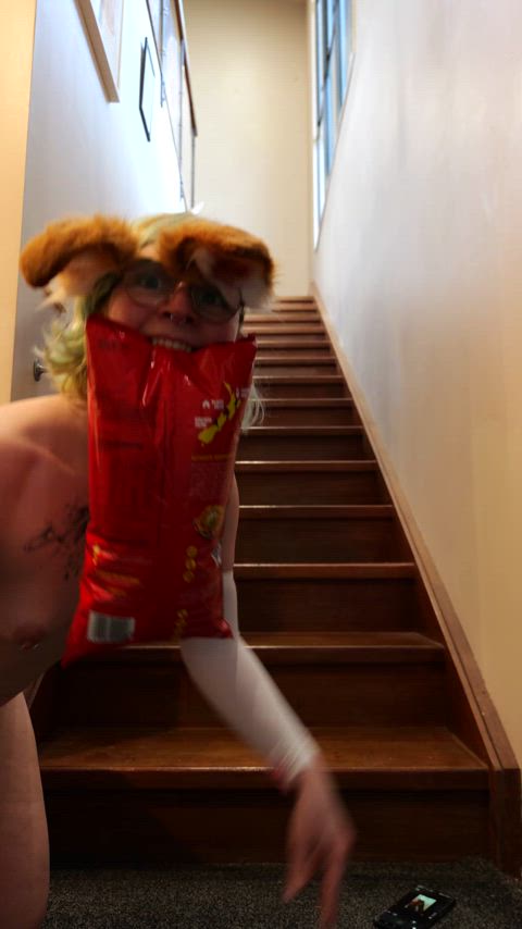 being a dog girl is very serious business, like nabbing the nachos