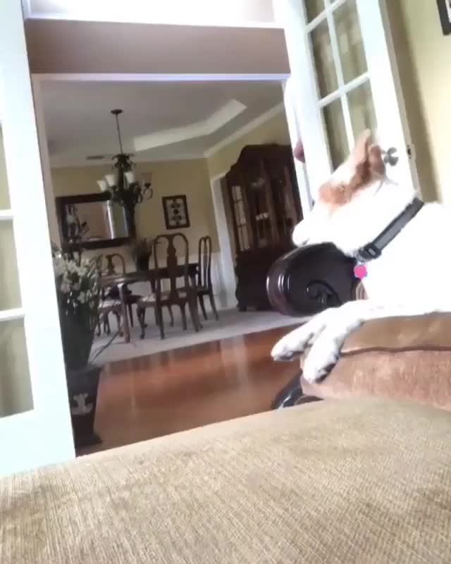  clip