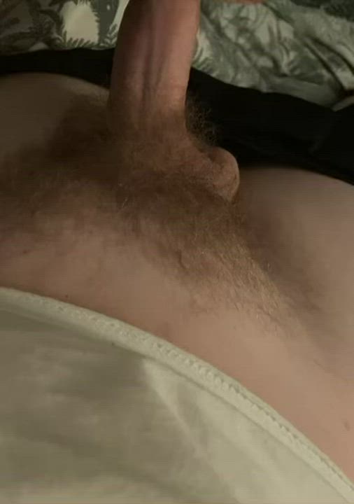 Big Dick Jerk Off Solo clip