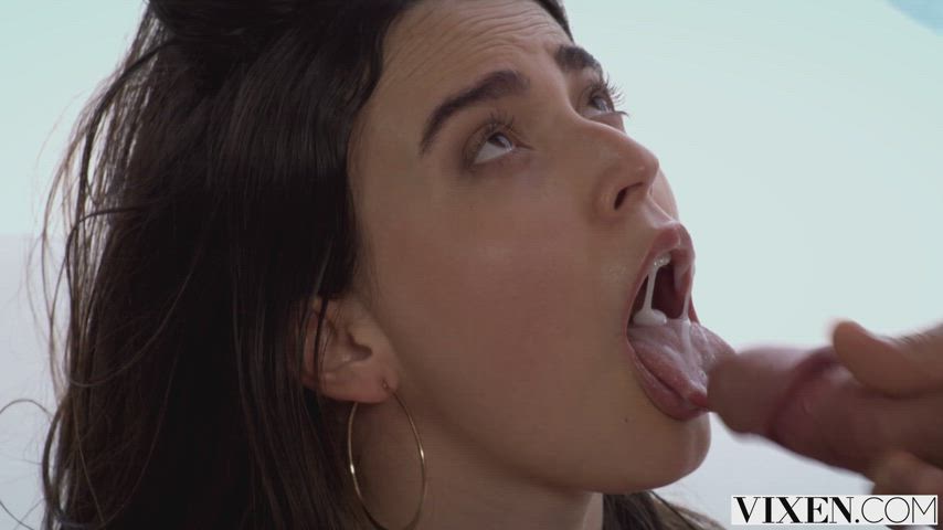 ariana van blowjob cum in mouth facial kiss latina licking pov pornstar clip