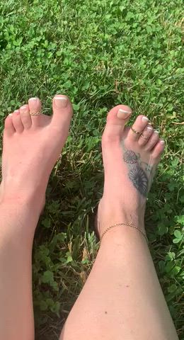 Freshly pedicured toes on a freshly mowed lawn 👣