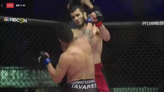 Islam Mamedov vs. Thiago Tavares