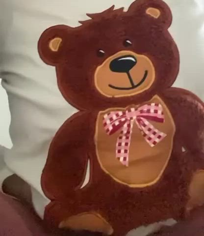 Do you like my Teddy Bear(s)?