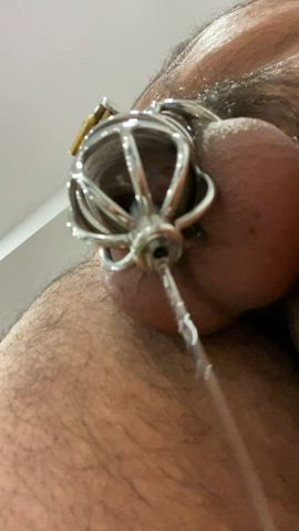 Precum dripping from my cock cage's urethral catheter.
