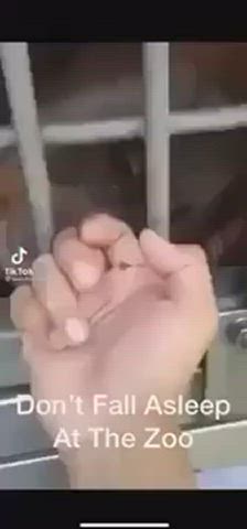 caught handjob licking clip