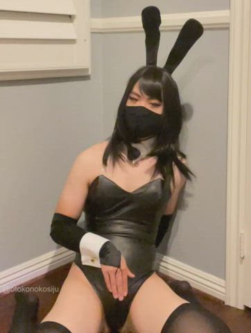 what would you do to this horny bunny you caught?