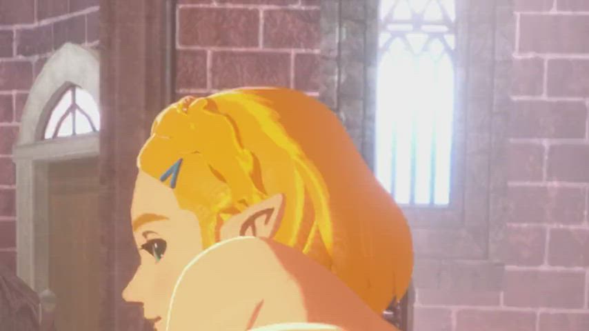 Link and Zelda fucking.