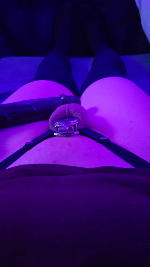 bbc chastity chastity belt femboy sissy microchastity clip