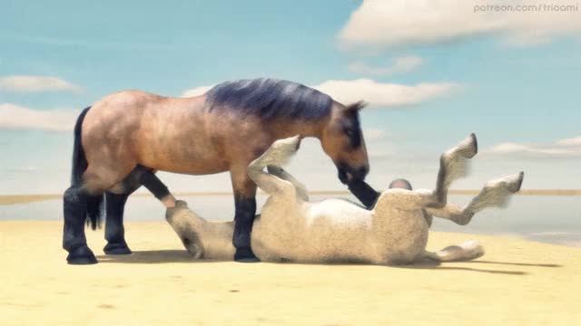 5878 - animated animation blowjob draft horse fellatio feral gay on back stallion