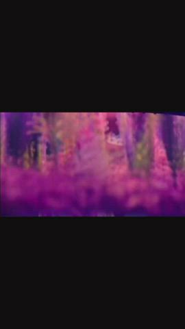 Lavender Haze concert background video