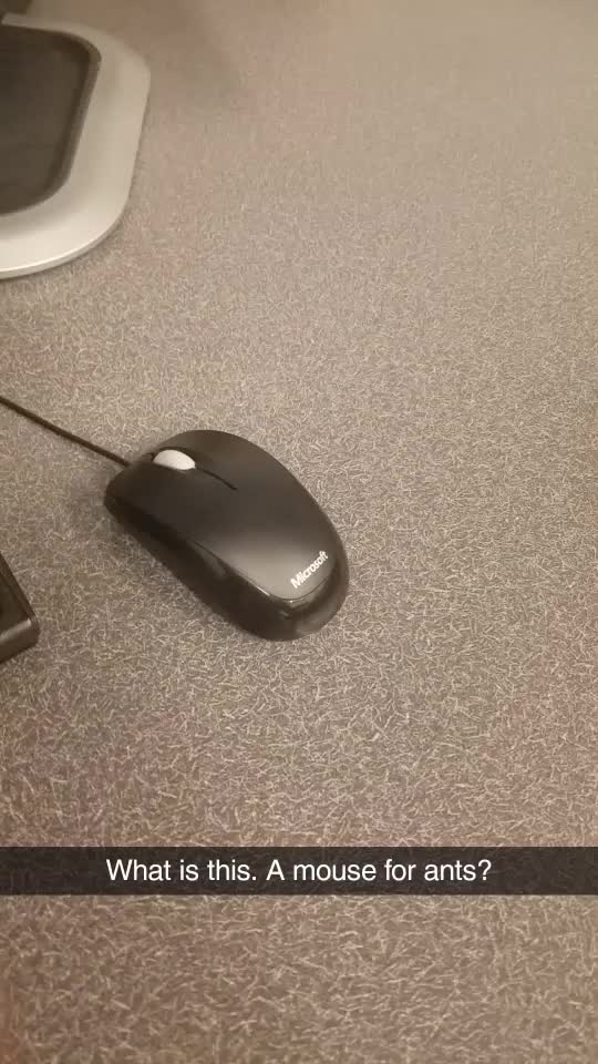 What is this. A mouse for ants?