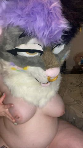 You find this kitty on your bed, what do you do? | $3 VIP OnlyFans for a limited