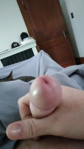 cum cumshot jerk off masturbating tribute clip