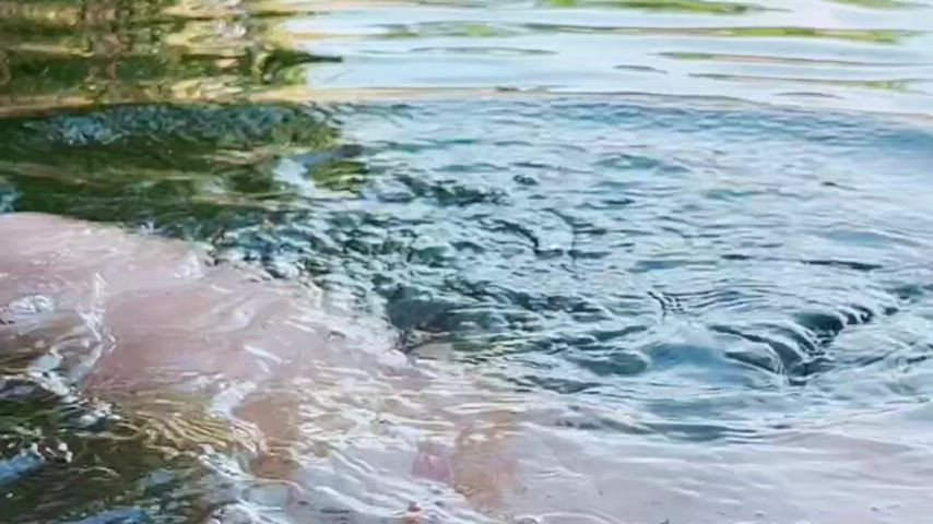 Little Dick Skinny Dipping GIF by smalldickuncut