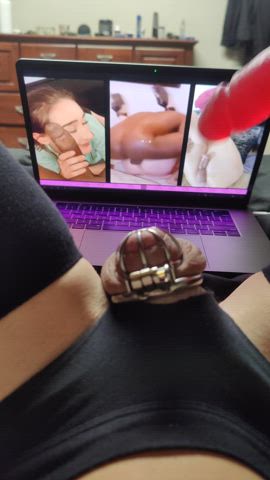 bbc ballbusting chastity dildo humiliation sissy clip