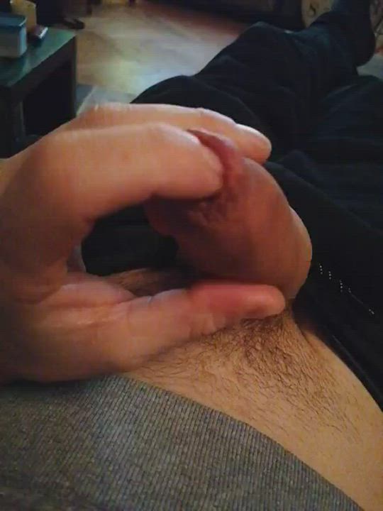 Who wants to play with it? 😏 GIF by skater_93