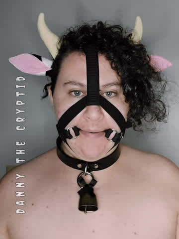 ball gagged collar collared cosplay costume curly hair ftm gagged petplay r/hucow