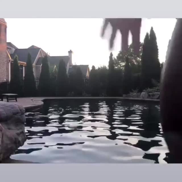 Bikini Pool clip
