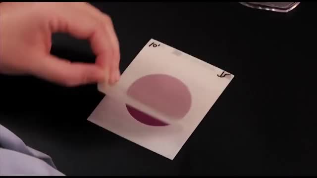 3M™ Petrifilm™ Plates - Coliform