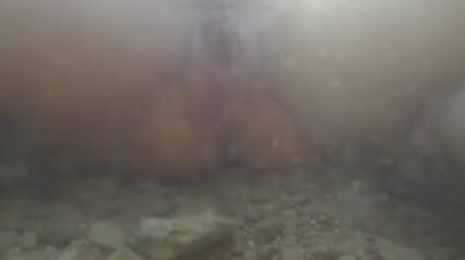  clip
