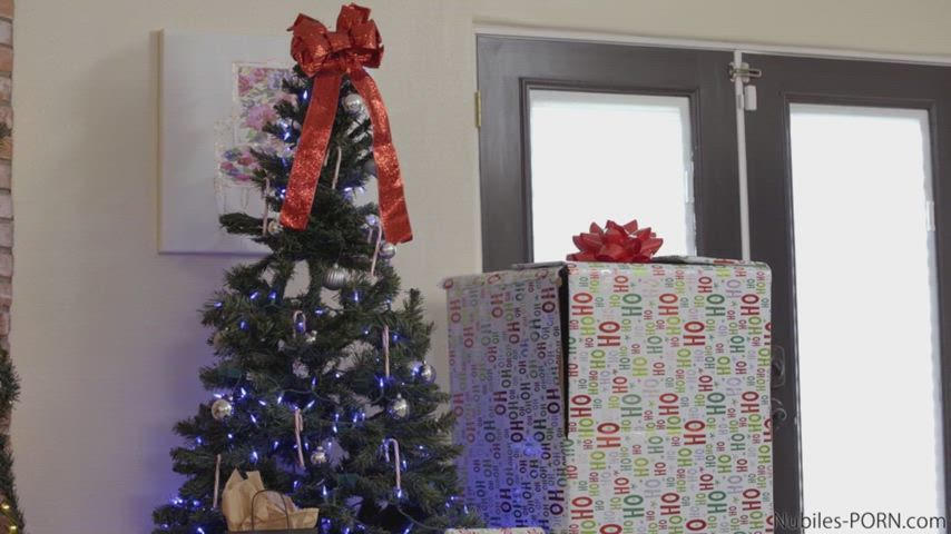 Sex Doll Riley Reid Given & Taken for Christmas