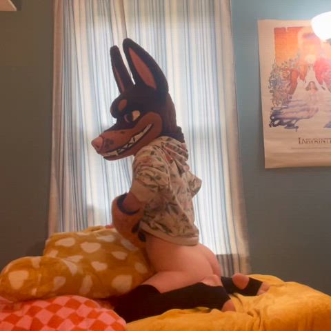 Dobie Pup Pillow Humping! 💛