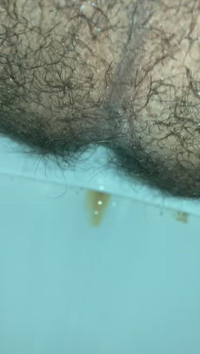 My hairy ass takes a morning dump