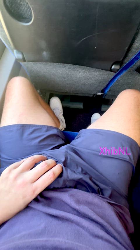 Exposing my cock while riding the bus