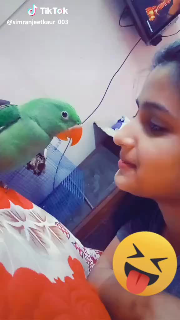  #pet_lover #parrot #bird #adopted #bro