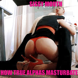 REAL ALPHAS USE SISSIES
