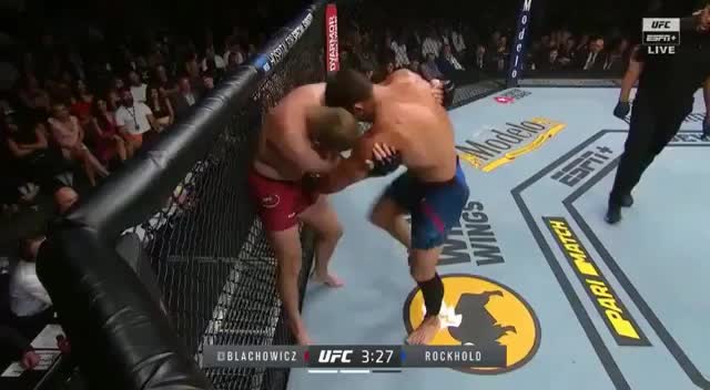 Blachowicz vs Rockhold knokdown