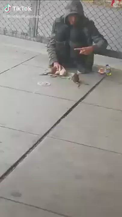  clip