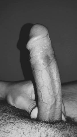 Like the artistic B&amp;W touch on a hard veiny cock? ?