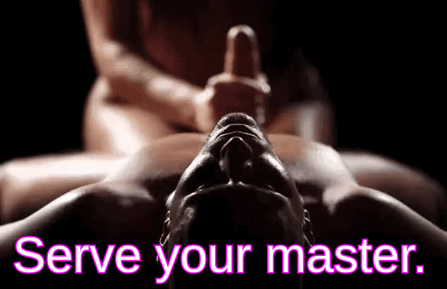 Serve your master.