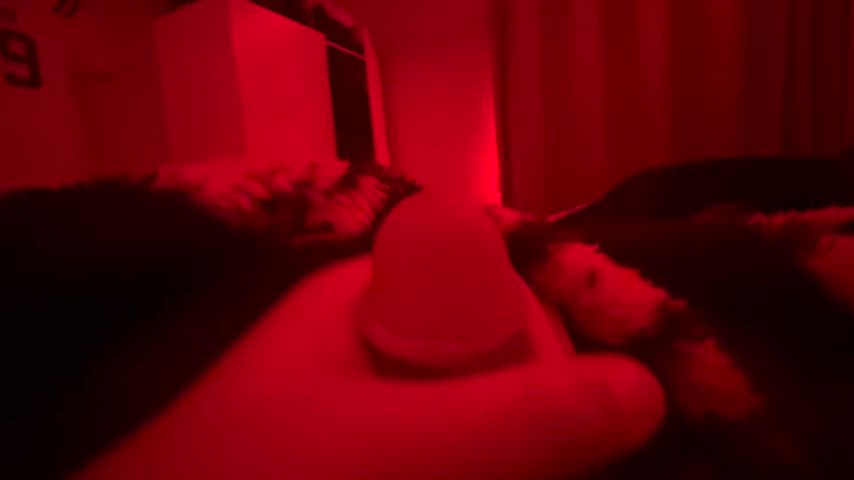 GIF by bigdogtyt